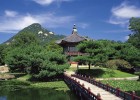 探索21岁试管婴儿的成功率及其相关因素