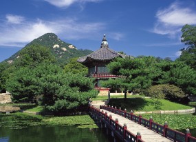 探索21岁试管婴儿的成功率及其相关因素